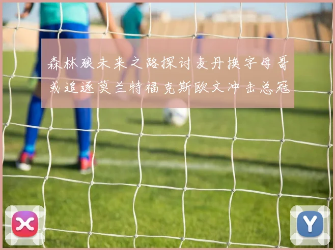 森林狼未来之路探讨麦丹换字母哥或追逐莫兰特福克斯欧文冲击总冠军