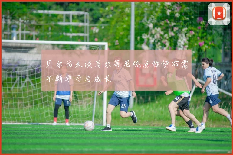 贝尔戈米谈马尔蒂尼观点称伊布需不断学习与成长