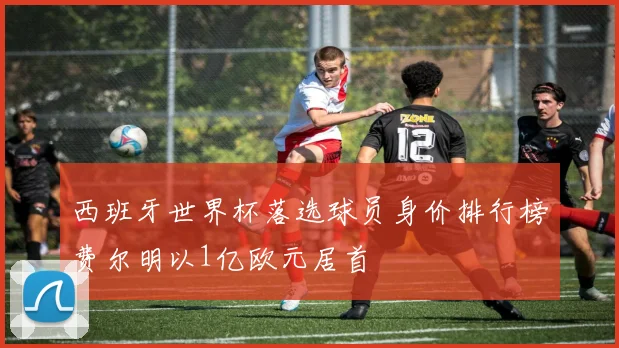 西班牙世界杯落选球员身价排行榜费尔明以1亿欧元居首